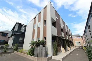 PALMA FORESTAの画像