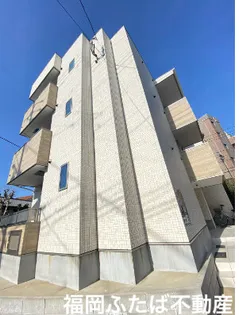 SWEET ALYSSUM MUGINO Ⅰの画像