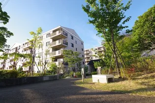 カスタネア栗平の画像