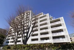 グリーンフォレストストーリーズの画像