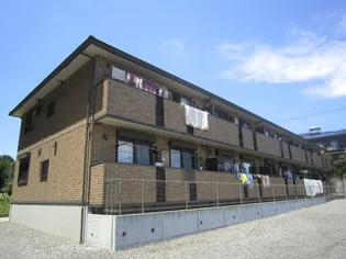 フローラの画像