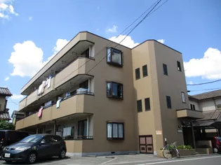 ビーブラウンの画像