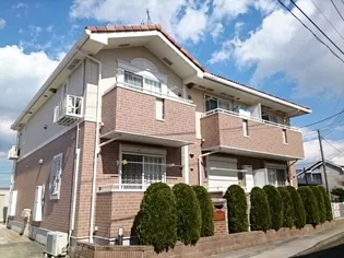 アムールダンジュの画像
