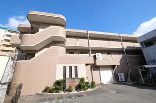 ラフィーネの画像