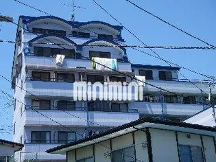 フォーレストユイの画像