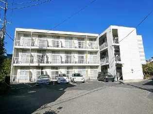 レオパレスパレスマンションIの画像