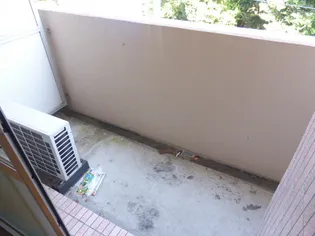 オーブII【2階】の内装