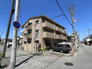 グリーンマンションの画像