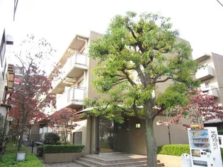 埼玉県さいたま市南区文蔵2【マンション】の外観