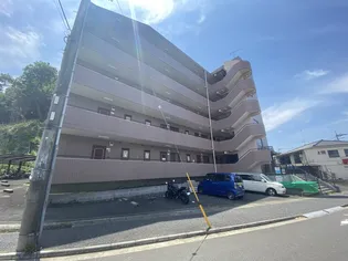 フレイジョア鴨居の画像