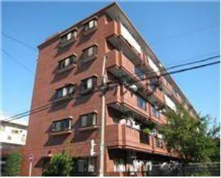 エクロール蓮根の画像