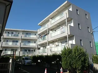 エルカーサ緑の画像