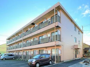 エコーハイツ英の画像