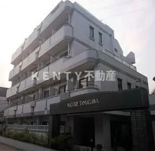 ワコーレ多摩川の画像