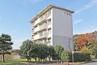 UR金杉台の画像