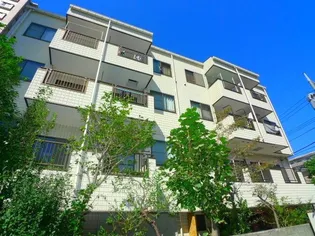 プチファイブの画像