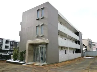 セリージャデトーアの画像