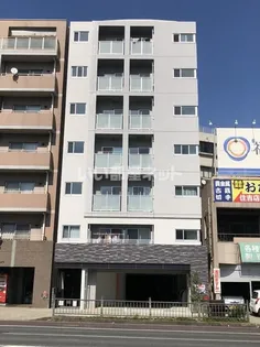 ジプソフィラの画像