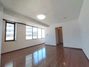 ヴィラサンライズ武蔵【2階】の居間