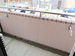 ヴィラサンライズ武蔵【2階】の内装