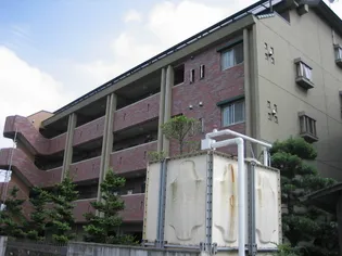 シャングリア丸太【2階】の外観