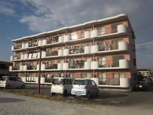 カーサエテルノ【4階】の外観