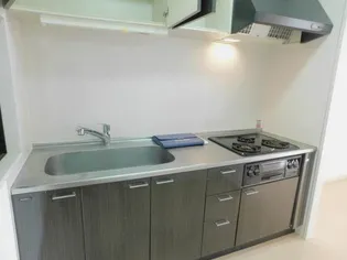 ブランネージュ多摩川【ブランネージュタマガワ】【4階】のキッチン