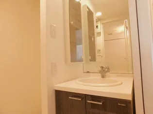 ブランネージュ多摩川【ブランネージュタマガワ】【4階】の内装