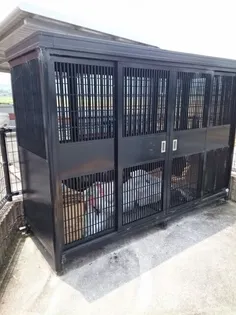 パストラーレ涼 B棟【2階】の内装