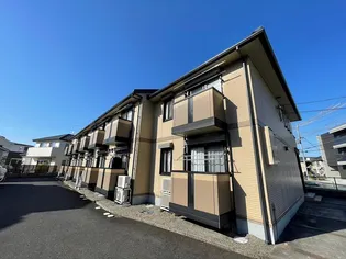 シャルマンの画像