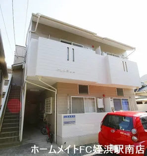 トレンディの画像