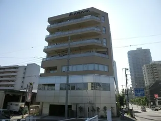 アラヤ清澄白河ビルの画像