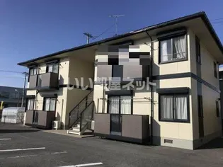 フェリス バレーナBの画像