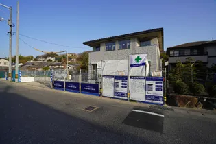 シャガールAの画像