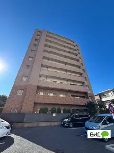 ニュープロスパーの画像