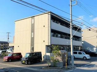 ルピナスの画像