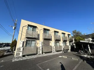 GOLDEN GOOSEの画像