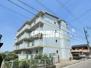 サンライズ花井の画像