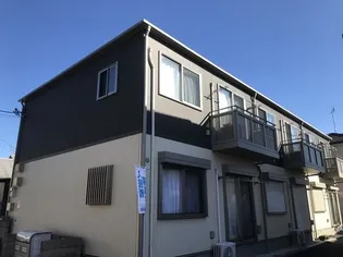 カメリアの画像