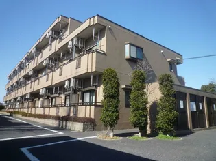 ツインアレーの画像