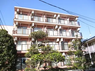 となりの花きゃべつの画像