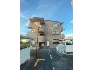 ルーシッドコートの画像