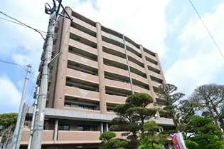 アヌビアス紫川の画像