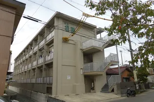 岩渕松鶴の画像