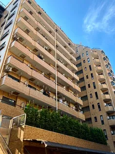 東京都板橋区板橋1【マンション】の外観