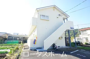 チェリーコートの画像