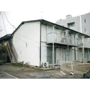 フラットカメリアの画像