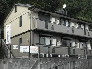 コスモスの画像