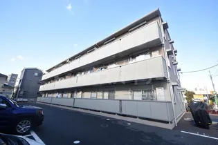 ステラ ルーチェの画像