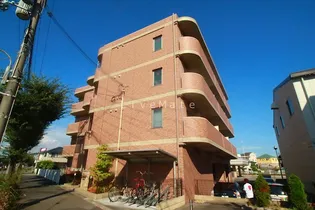 フェリチタの画像